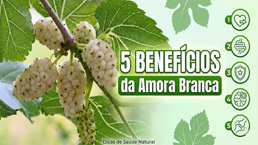 5 benefícios da Amora Branca