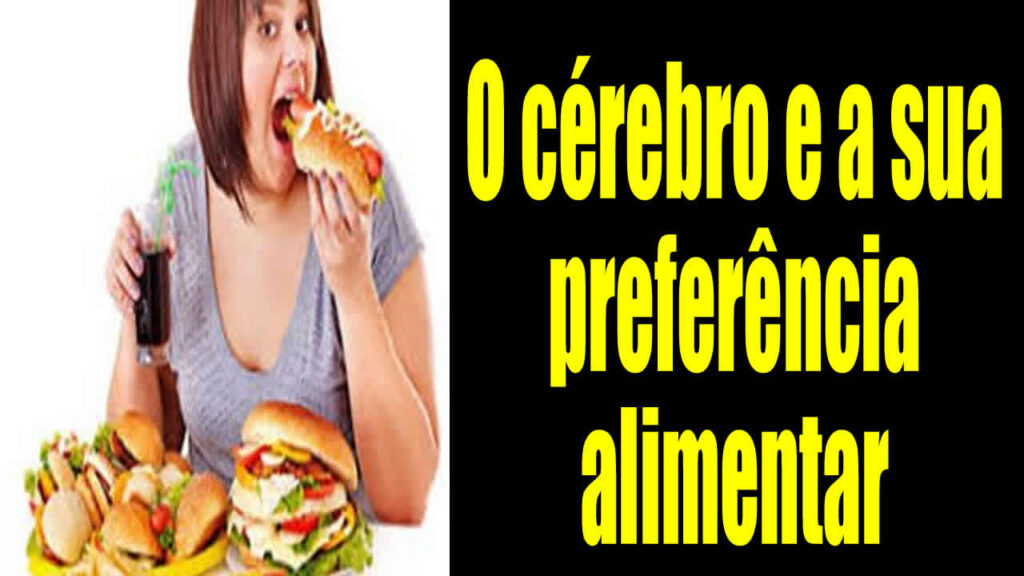 O cérebro e a sua preferência alimentar