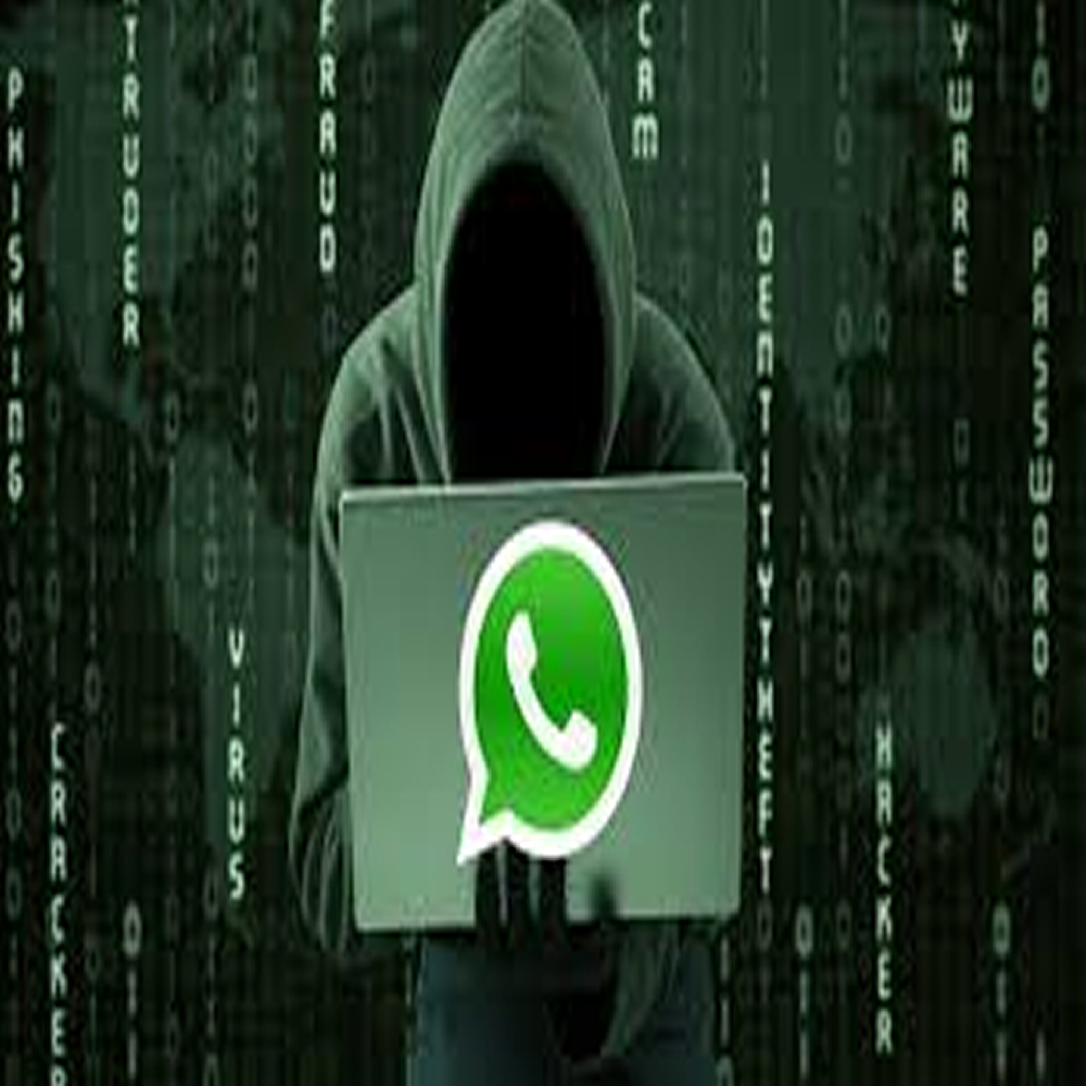 Vai abandonar o WhatsApp ? Conheça Sinal e Telegram