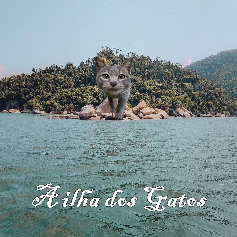 A ilha dos Gatos