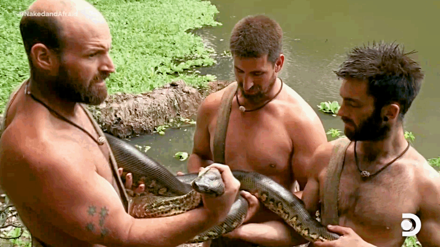 Quem ganhou Largados e Pelados A Competição Temporada 1? - Dusite