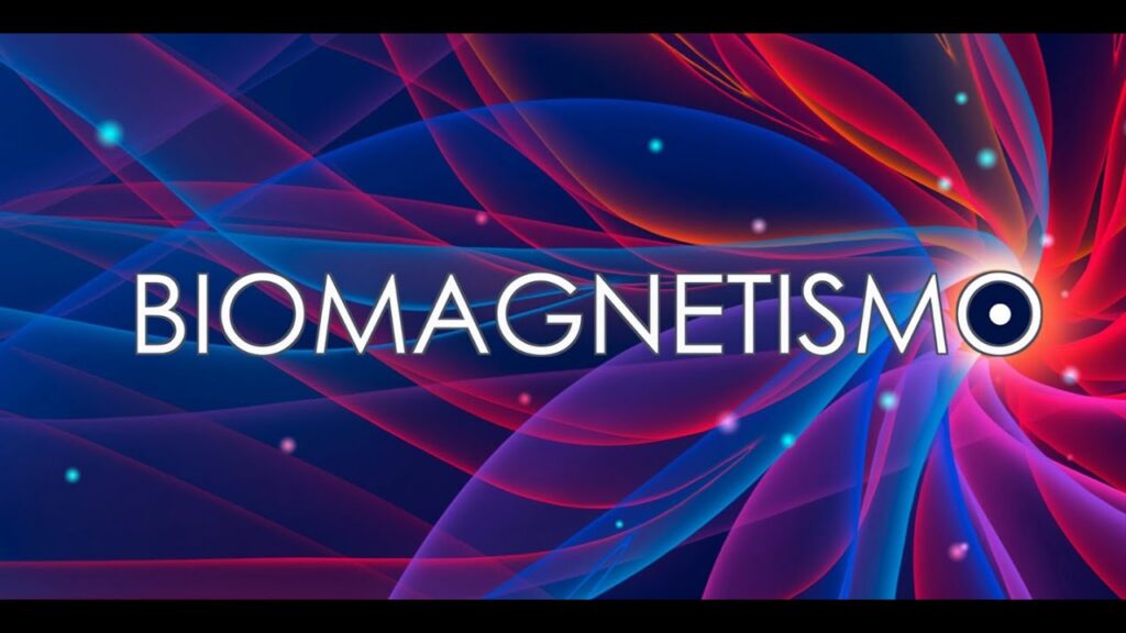 O que é Tratamento Biomagnetismo ?
