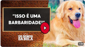 O Caso de Joca- o Cachorro que Comoveu o Brasil