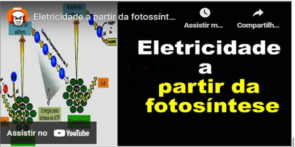 Geração de Energia com a Fotossíntese