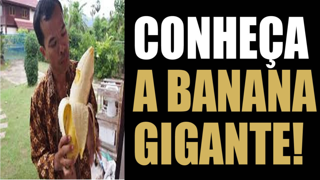 Banana Gigante