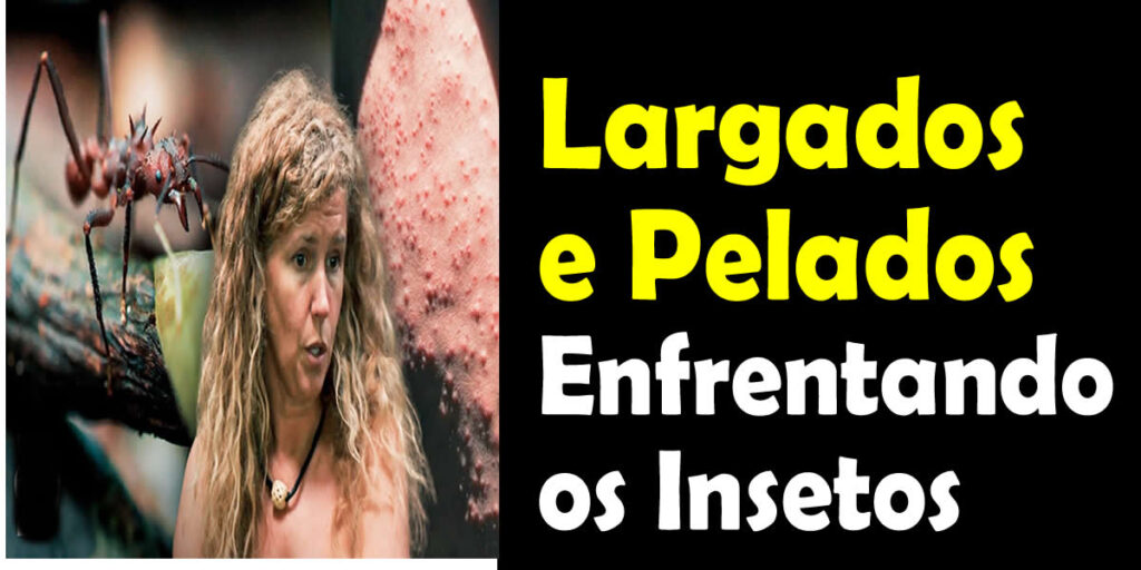 Largados e Pelados Enfrentando os Insetos