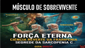 Sarcopenia sobrevivência