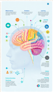 Ilustração de neurônios conectados representando a plasticidade sináptica no cérebro